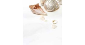 スタロン シュプリーム デルフィ VD111