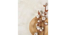 スタロン シュプリーム マグノリア VM143